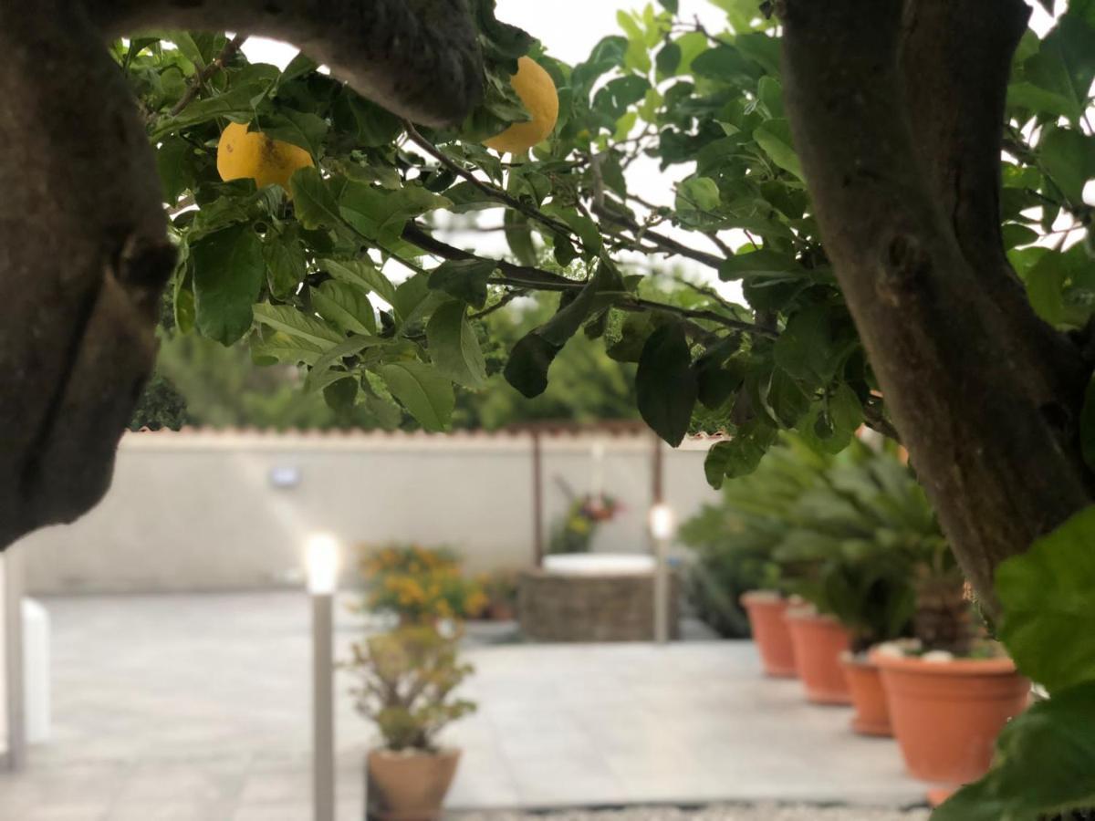 Invilla Bed&Breakfast - Quality Rooms Santa Maria di Castellabate Exterior foto
