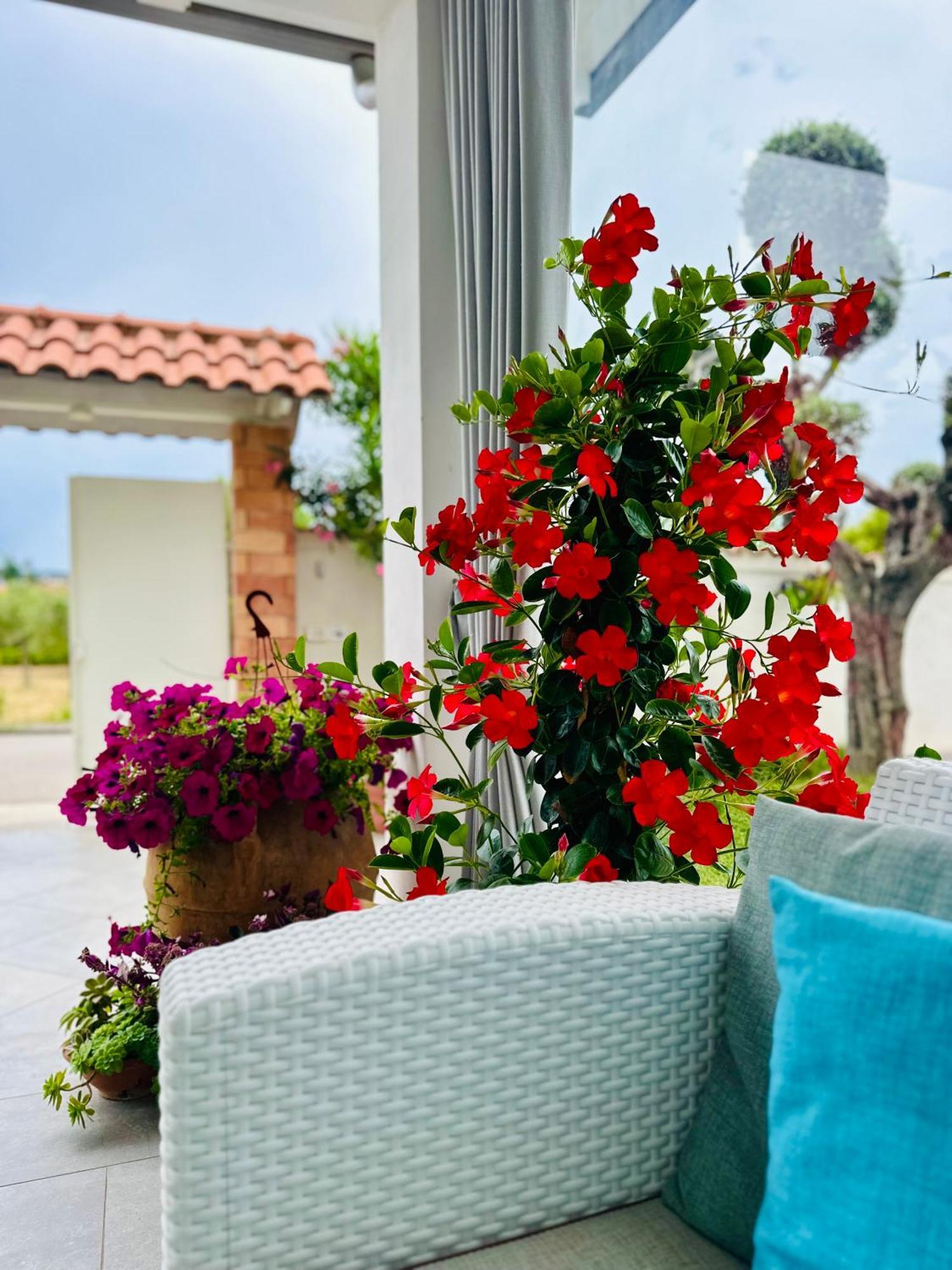 Invilla Bed&Breakfast - Quality Rooms Santa Maria di Castellabate Exterior foto