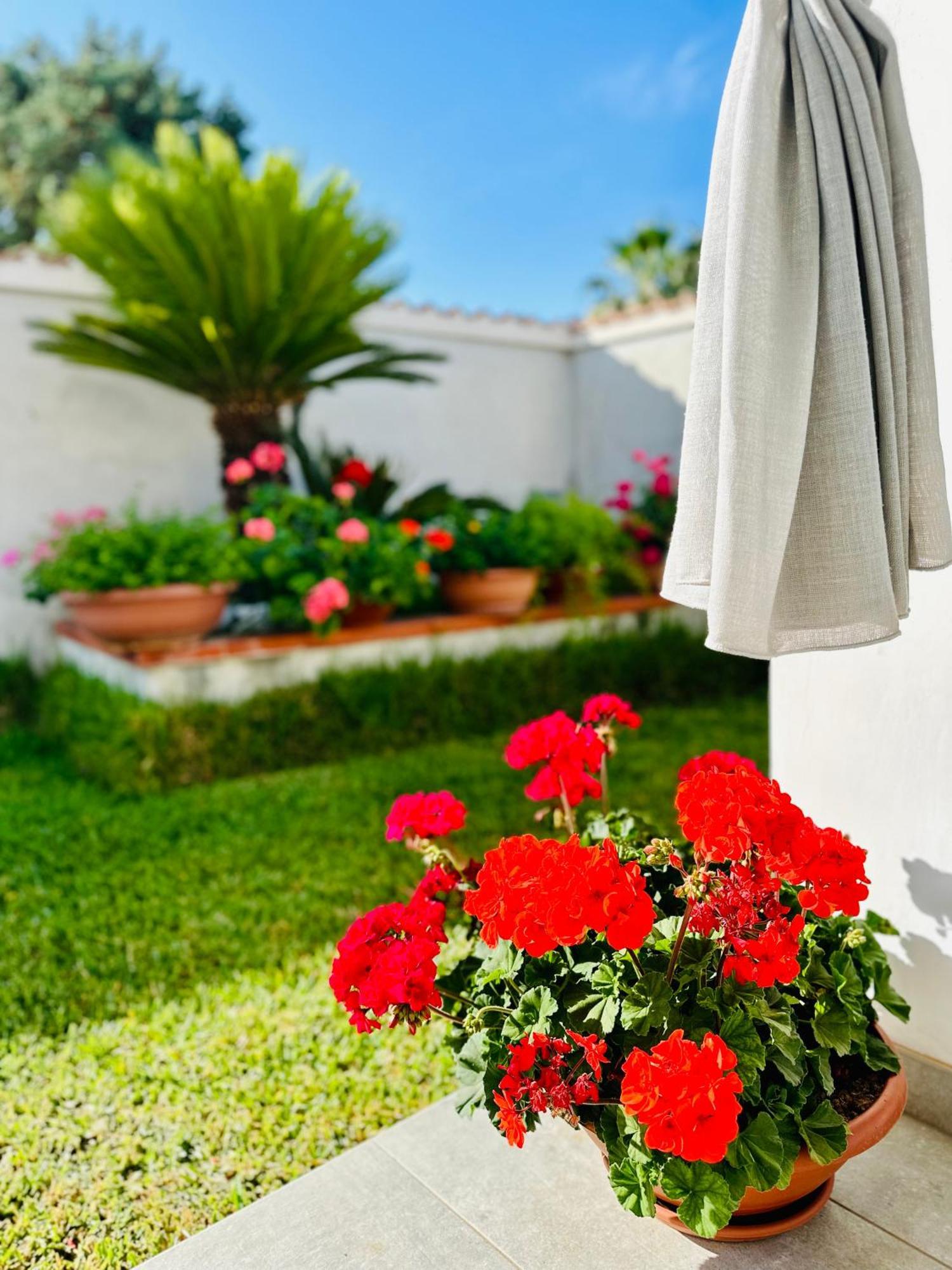 Invilla Bed&Breakfast - Quality Rooms Santa Maria di Castellabate Exterior foto