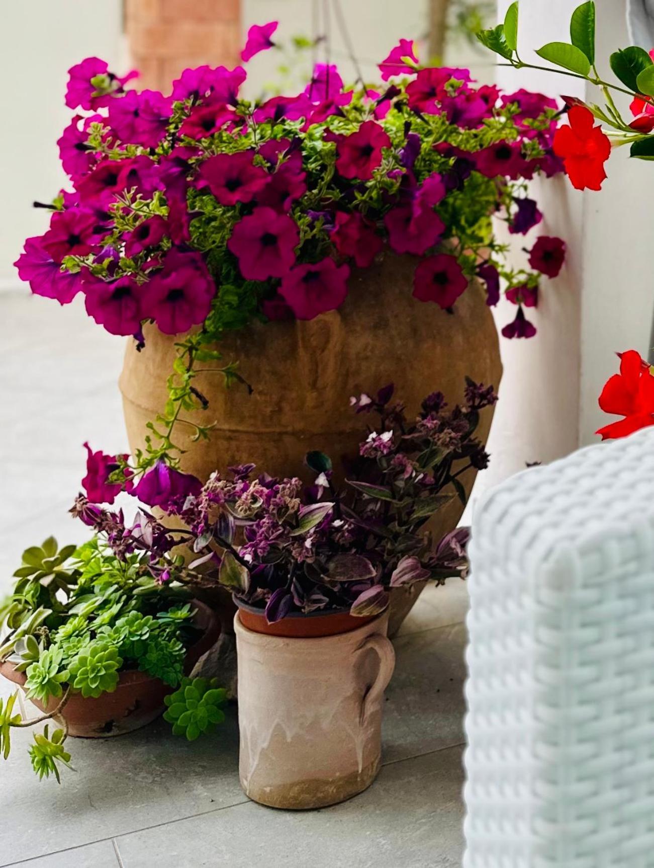 Invilla Bed&Breakfast - Quality Rooms Santa Maria di Castellabate Exterior foto