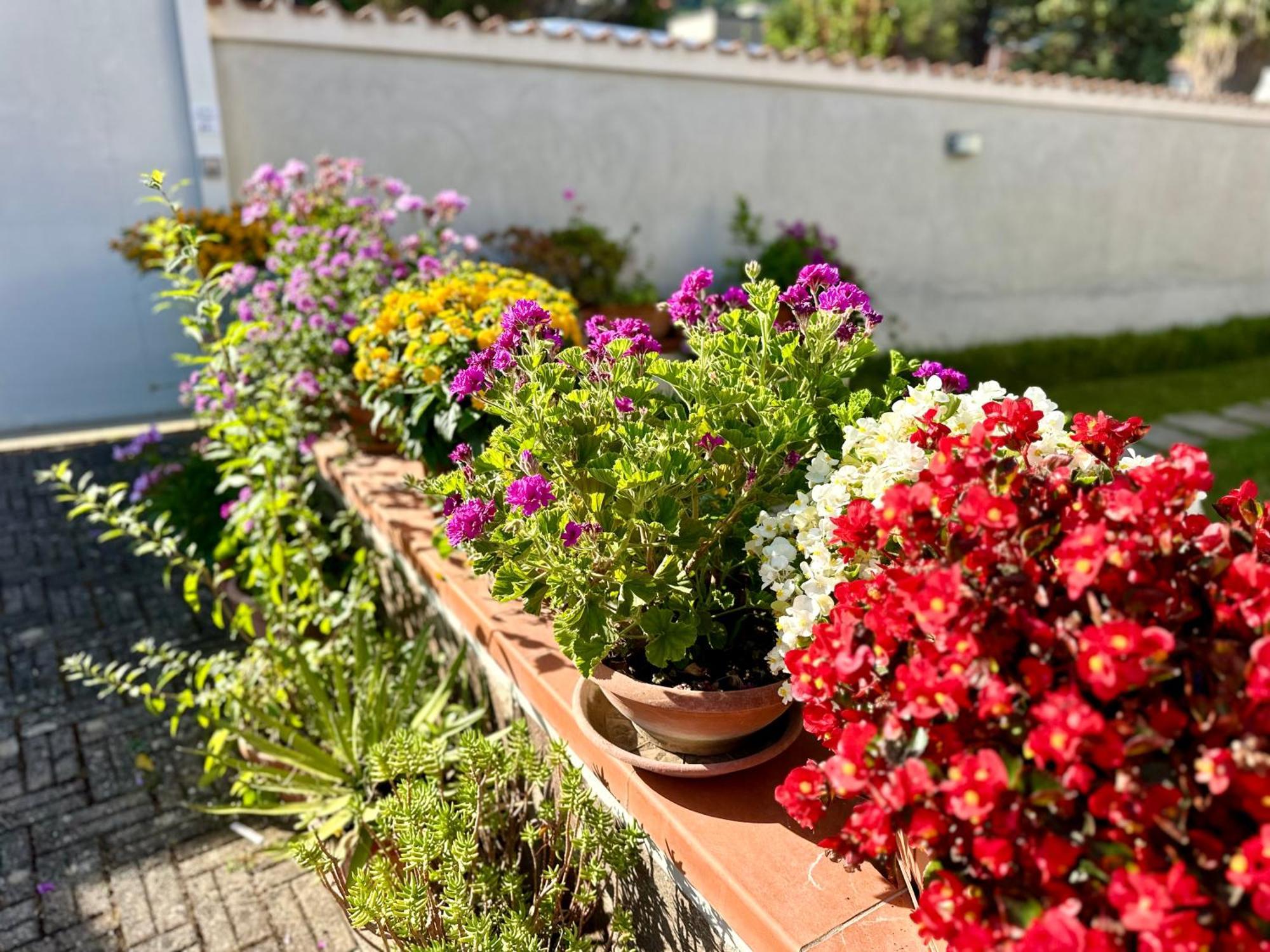Invilla Bed&Breakfast - Quality Rooms Santa Maria di Castellabate Exterior foto