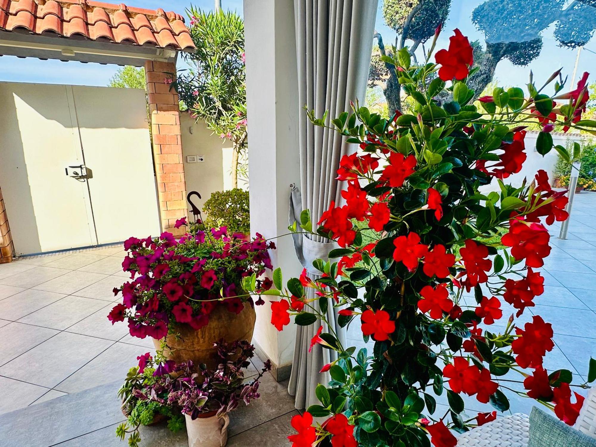 Invilla Bed&Breakfast - Quality Rooms Santa Maria di Castellabate Exterior foto